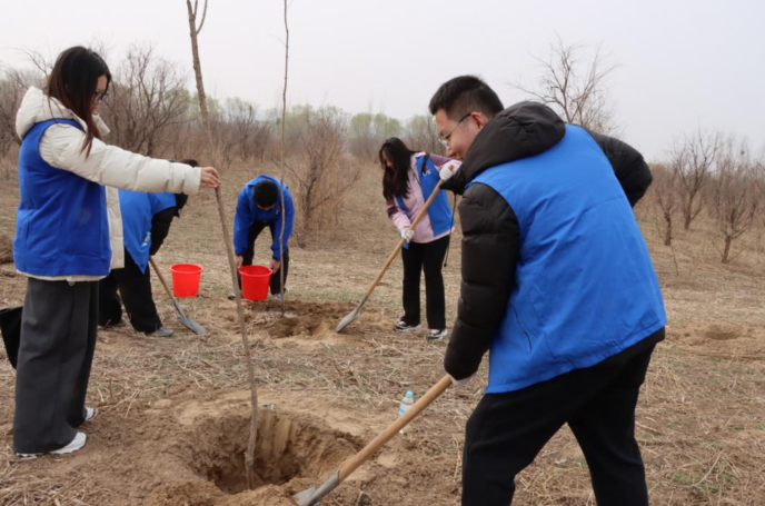 �й�̫������ɽ���ֹ�˾�ɹ��ٰ�2026��ֲ�����ж�