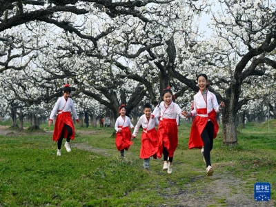 ������ɽ���滨ʢ����ȼ���վ���